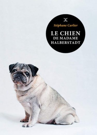 Accueil - Le chien de Madame - BouQuivore.fr