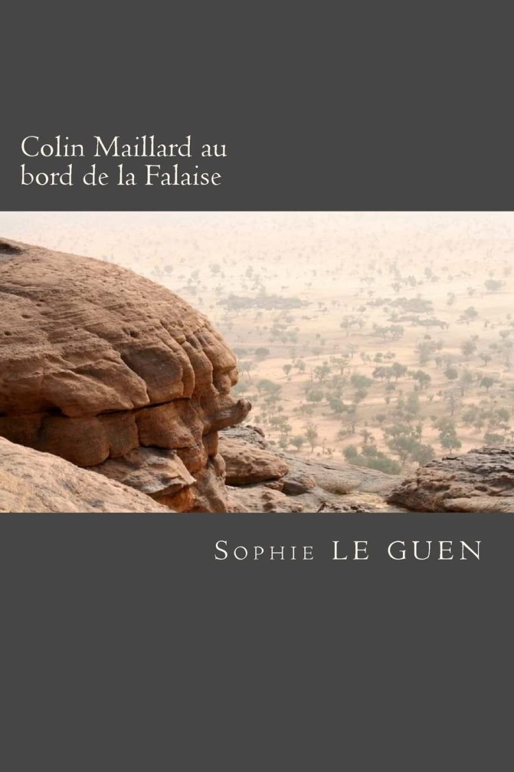 Danse avec le burn-out ⇜ Sophie Le Guen & Sandrine Vourch Chanvry  - Colin Maillard au bord de la Falaise - BouQuivore.fr